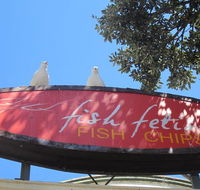 Fish Fetish - Internet Find