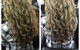 Flair Hair Care - thumb 1