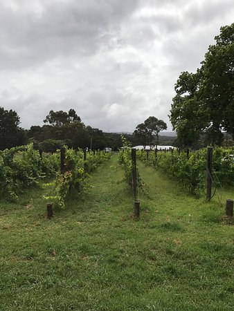 Upper Beaconsfield VIC Internet Find
