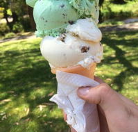 The Rainbow Ice Cream Shop - Internet Find