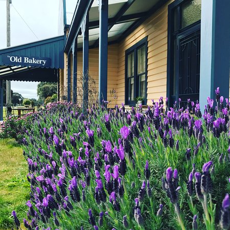 Dunkeld VIC Internet Find