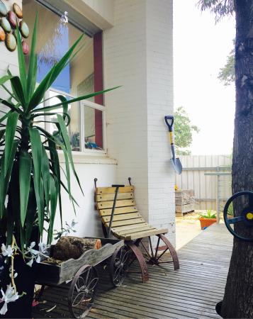 Jungaburra ACT Internet Find