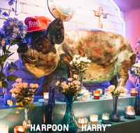 Hotel Harry - Internet Find
