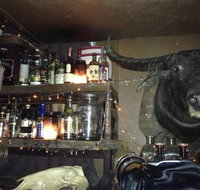 Shady Pines Saloon