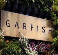 Garfish - Internet Find