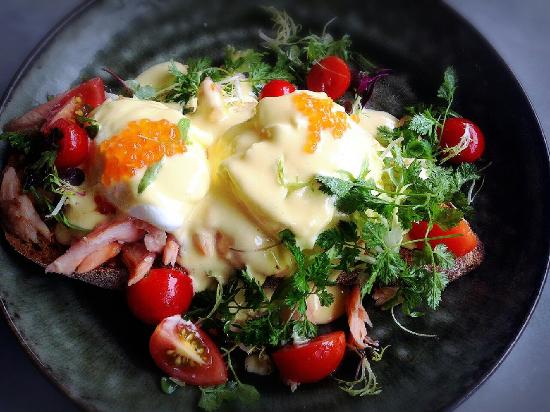 Clubs Cricket Clovelly NSW Internet Find