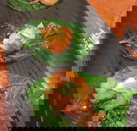 Infuzions Hornsby - Internet Find