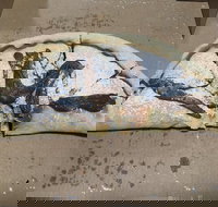 Little Neros Pizza  Pasta - Internet Find