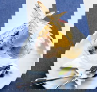 Bells at Killcare Restaurant  Bar - Internet Find