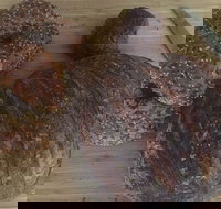 Iggy's Bread - Internet Find