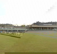 Bowlo Bistro - Internet Find