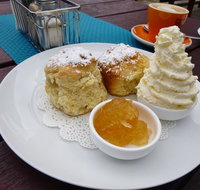 Mogo ice creamery and cafe - Internet Find