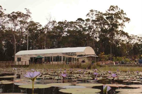 Sancrox NSW Internet Find