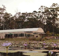 Abundance Cafe and Garden Centre - Internet Find