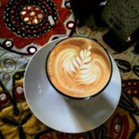 Hat Head NSW Internet Find