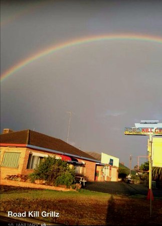 Road Kill Grillz - Internet Find 0