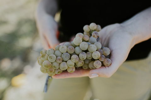 Rowlee Vine To Table Experience - Internet Find 1