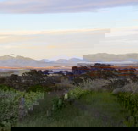 Castle Rock Estate Winery - Internet Find