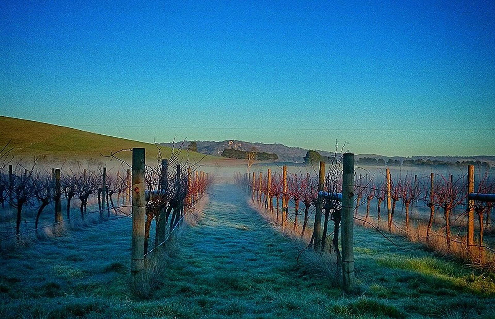 Coghills Creek VIC Internet Find