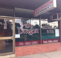 Mini Dragon - Internet Find