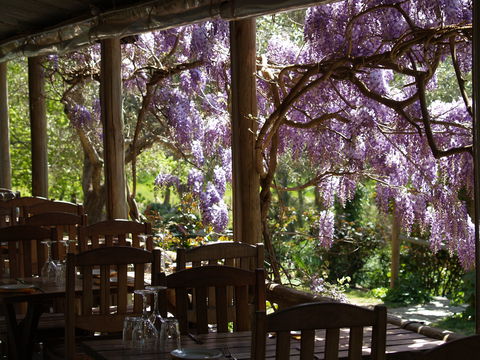 Skillogalee Winery & Restaurant - Internet Find 2