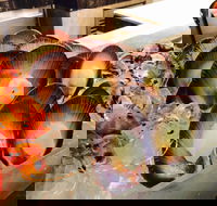 Cafe at the Hyatt Regency Perth - Internet Find