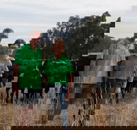 Milawa Organic Beef - Internet Find