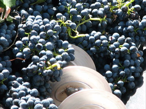 Orange Mountain Wines - Internet Find 2