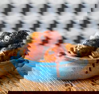 The Yiros Shop - Cannon Hill - Internet Find