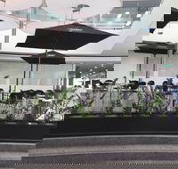 D Cafe - Internet Find