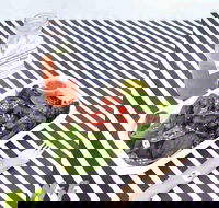 Nourish and Feed - Internet Find