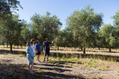 Wollundry Grove Olives - Internet Find 1