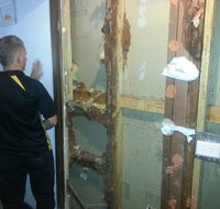 Red Centre Pest Control - Internet Find
