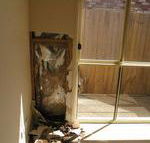 Complete Pest Control - Internet Find
