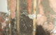 Promax Pest Control & Carpet Cleaning - thumb 2
