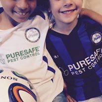 Puresafe Pest Control - Internet Find 0