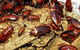Statewide Pest Solutions - thumb 3