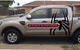 Statewide Pest Solutions - thumb 9