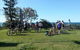 Bicycle Centre Maroochydore - thumb 0