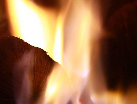 BD’s Woodfired Pizza & Pasta - Internet Find 1