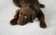 PHJ Carpet Cleaning And Restoration - thumb 11