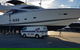 Elite Carpet Cleaning & Pest Control - thumb 4