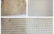 Elite Carpet Cleaning & Pest Control - thumb 5
