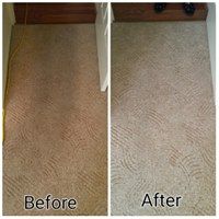 Elite Carpet Cleaning & Pest Control - Internet Find 6
