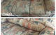 Elite Carpet Cleaning & Pest Control - thumb 7
