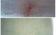 Elite Carpet Cleaning & Pest Control - thumb 9