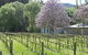 Orchard Lodge - thumb 3