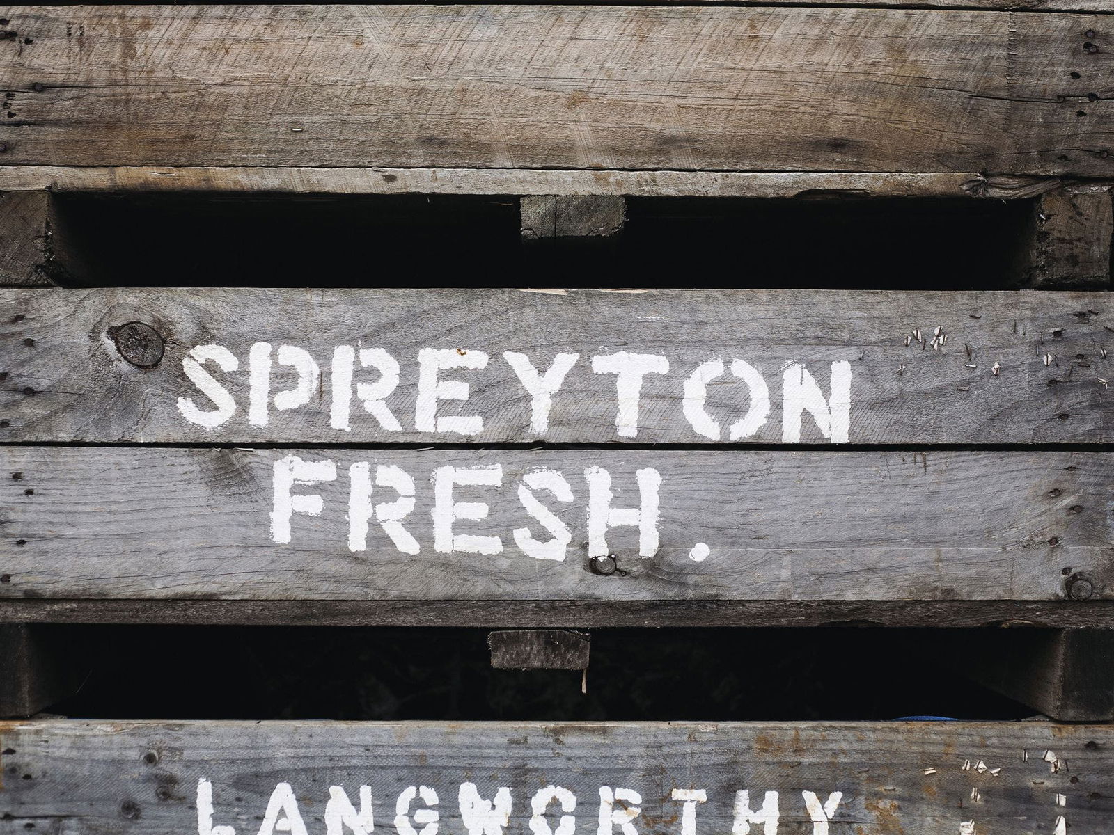 Spreyton TAS Internet Find
