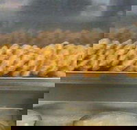 Stirling Village Fish  Chips - Internet Find