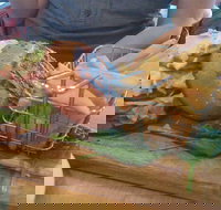 Vale - Internet Find